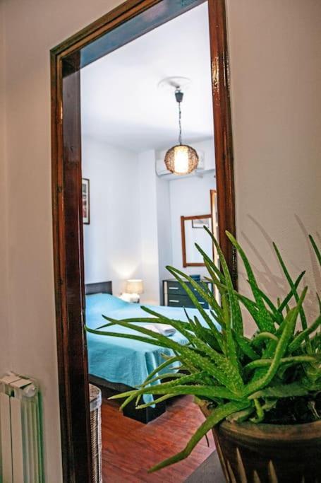 Center, Sea View Apartment, Amelia! Apartment *